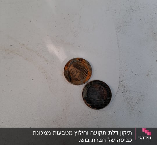 שני מטבעות על משטח לבן עם לכלוך קל